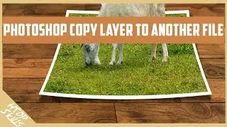 Photoshop copy layer to another file same position