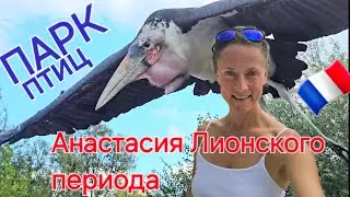 Анастасия лионского периода. Парк птиц во Франции, Лион | Parc des Oiseaux | Жизнь во Франции