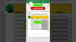 Custom settings in excel for aadhar number | Excel Shorts 