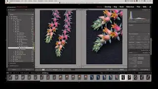 Twenty Tips for Working with Lightroom Classic