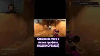 Напугали в CS2,и были убиты за это #приколы #csgo #twitch #твич