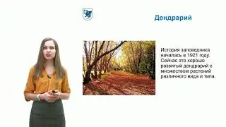 Учим русский с КФУ. Тема 4. Отдых и развлечения в Казани. Казанцева А.М.