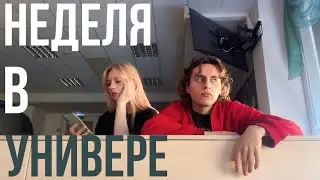 неделя студента медийщика типа