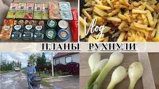 VLOG: День ЗАРПЛАТЫ/Закупка/ЧЕМ КОРМЛЮ сына/Развлекаем МАКСА