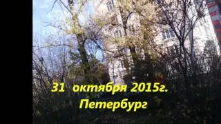 Сентябрь, октябрь 2015 г., Петербург.