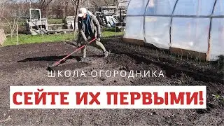 Сейте эти культуры как только сойдёт снег!