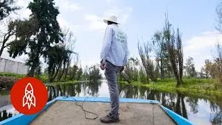 Fighting to Keep Mexico’s Floating Farms Alive