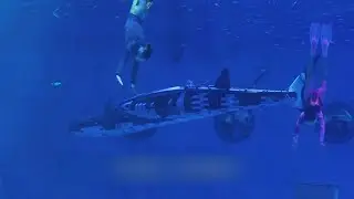 Bionic Whale Shark