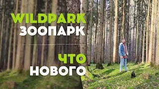 ЗООПАРК. КАК ВСТРЕТИЛИ РОЖДЕСТВО. ЛЕС. ПОКУПКИ В ДОМЕ. ПОЗДНИЕ ПЕРЕСЕЛЕНЦЫ.