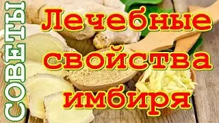 Лечебные свойства имбиря, о которых не все знают