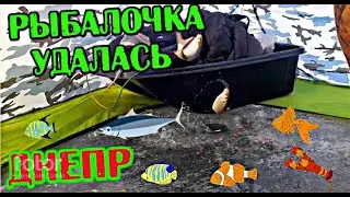 Зимняя рыбалка 2022. Кременчуг речной порт. Максимовка Пивиха Бешеный клев ВОДОХРАНИЛИЩЕ 