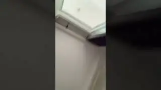 sore ini lagi pada ngapain ni ?