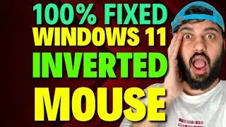 Fix Windows 11 Inverted Mouse