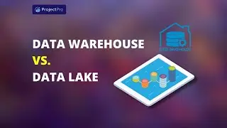 Data Warehouse vs  Data Lake #shorts #datascience