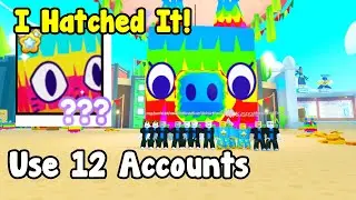 I Broke 5000 Giant Pinata And Hatched Huge Pinata Cat! - Pet Simulator X Roblox