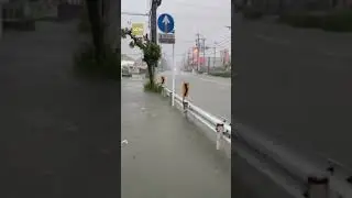 Tropical Storm Shanshan delivers torrential rains across Japan