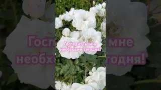 Псалом 62: Надежда среди духовной пустоты 