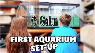 How We Set Up Our First Fish Tank! 75 GALLON Aquarium