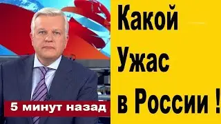 Люди Озверели! Вы Только Посмотрите Что Творится...