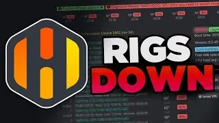 Hive OS Reporting Errors Mining Rig Down