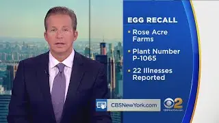 Massive Egg Recall Triggered By Salmonella Concerns