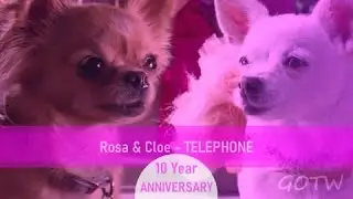 Rosa And Cloe - Telephone *10 YEARS ANNIVERSARY ~ Remake Video*