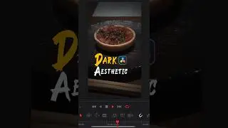 Dark aesthetic Instagram Reel in DaVinci Resolve