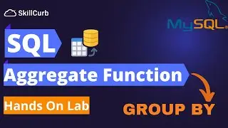 Aggregate Functions in SQL | Group By and Having Clause in SQL