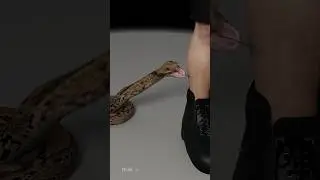 Venomous Snake Bite First Thing You Should Do Is...