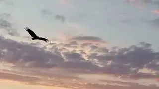 утро