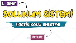 Solunum Sistemi | 6. Sınıf Fen Bilimleri | 2023