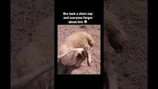 Don’t Click The Sound 😂