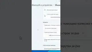 Индикатор касания отключение в Windows 11