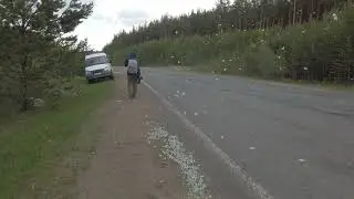 Снегопад из бабочек 4К (2)