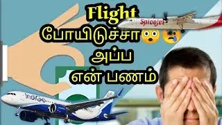 How to get refund if missed flight|விமானத்தை தவறவிட்டுடீர்களா?|Ink Rubber|Tamil #30