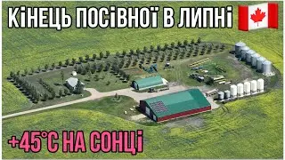 #279. Закінчили сіяти пшеницю на початку липня в Канаді 🇨🇦. СПЕКА 40-45°C на сонці.