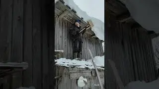 Приключения Кузи