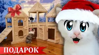 ИДЕАЛЬНЫЙ ПОДАРОК на НОВЫЙ ГОД для ЖИВОТНЫХ ! 24 ЧАСА в КОМНАТЕ с КОТАМИ