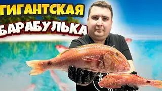 ГИГАНТСКАЯ барабулька холодного копчения! Как правильно коптить?