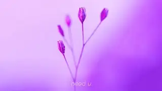 internetsteph - Need u.