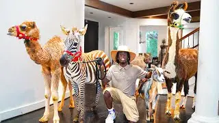 I Turned My House Into A Petting Zoo