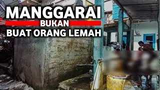 MANGGARAI BUKAN BUAT ORANG LEMAH‼️ KAWASAN KERAS JAKARTA SELATAN | Pemukiman