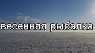 Весенняя рыбалка зубастой|было круто