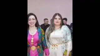 Kurdish Wedding Dance Video - GORGEOUS BEAUTIES Colourful Outfits & Lively Music | Top 5