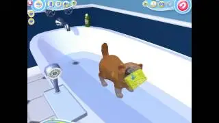 pets castz 2: postel editn