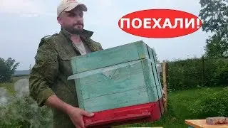создание второго стационарного точка/перевозка пчел на легковушке/скрепы для улья