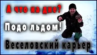 На дне огромного карьера!