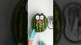 Goodland | Watermelon gives birth 😳 