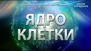 Ядро клетки 