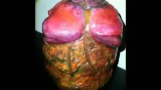 Яйцо чужого alien egg